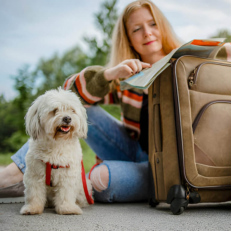 viajar con mascotas
